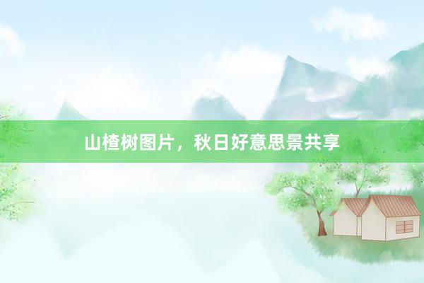 山楂树图片，秋日好意思景共享