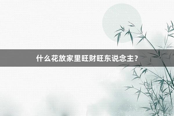 什么花放家里旺财旺东说念主？